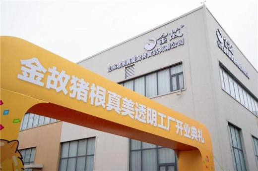 金故透明工廠實時透明直播 開創"云監工"式全民監督模式